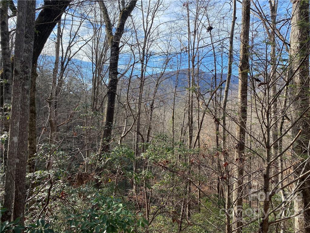 Lot 30 Chalet Road, Lake Lure, NC 28746