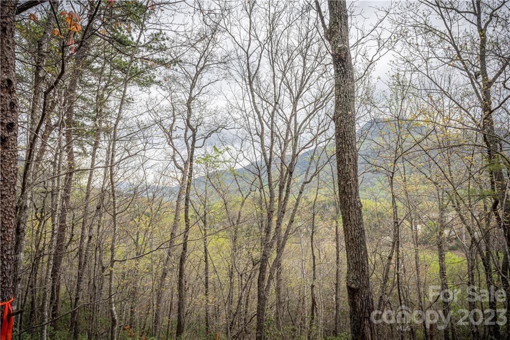 0 Watership Road, Lake Lure, NC 28746