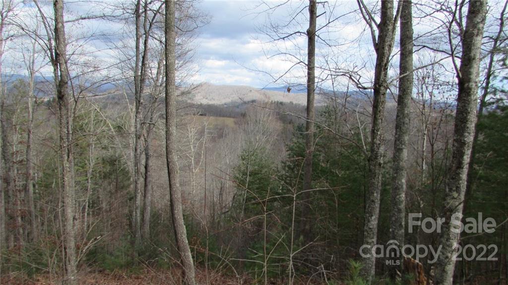 00 High Peak Ridge, Burnsville, NC 28714