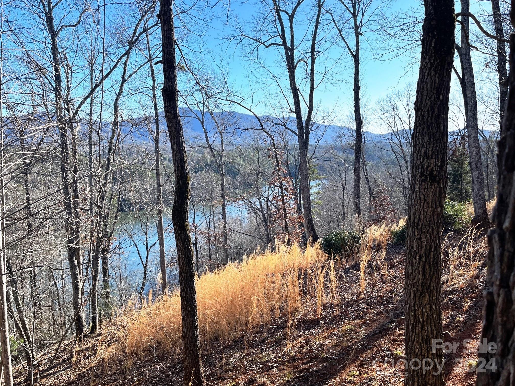 Lot 30 Mountain Parkway, Mill Spring, NC 28756