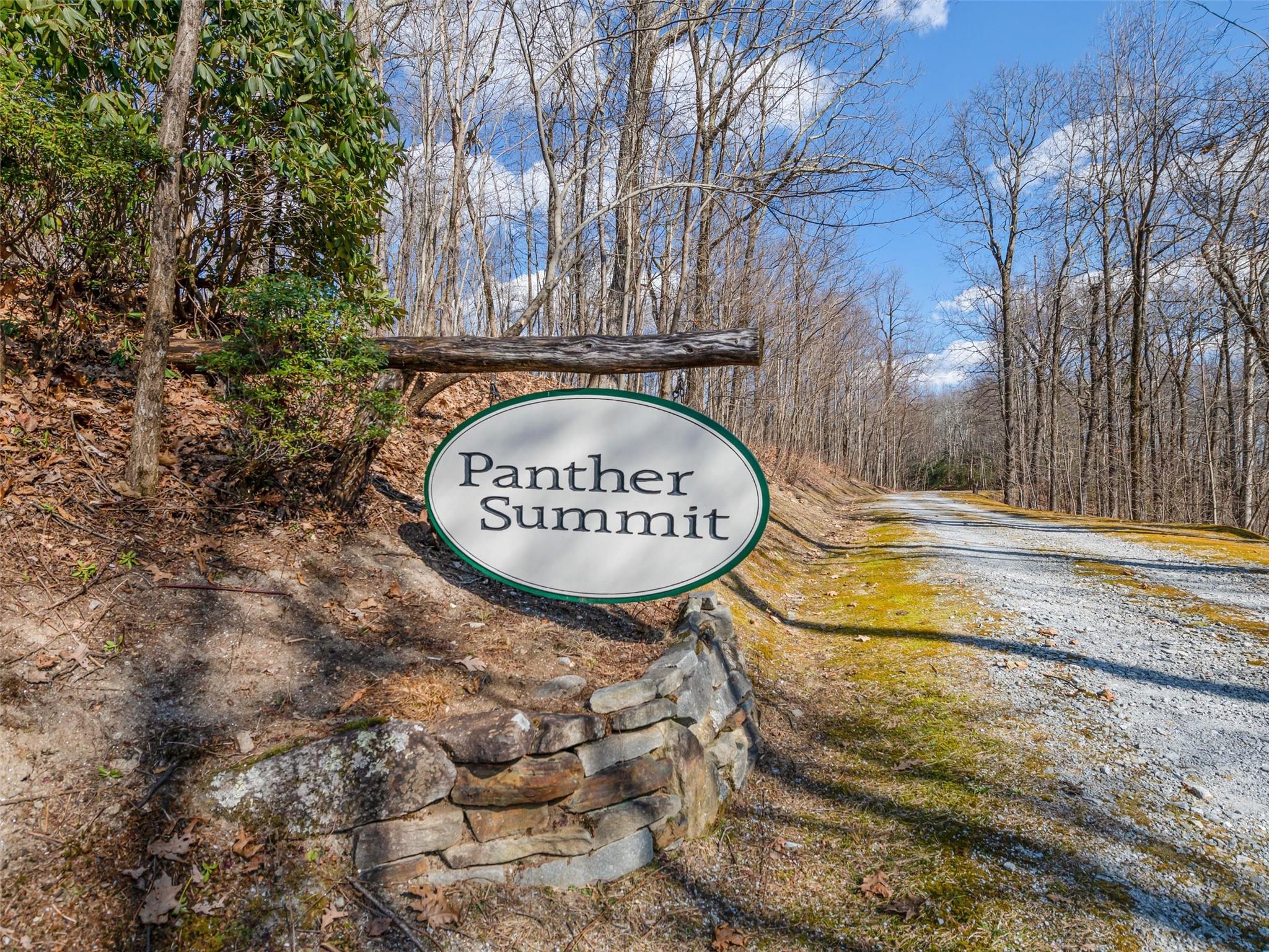 P 1&2 Panther Summit Drive, Lake Toxaway, NC 28747