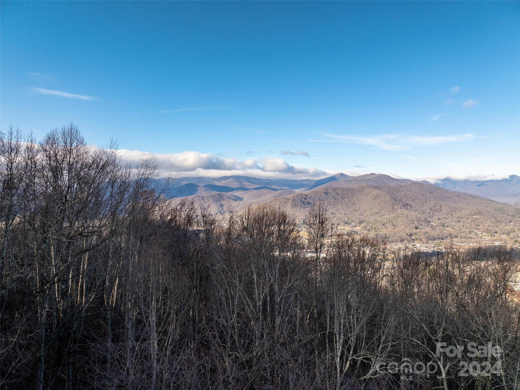 1412 Easy Wind Drive, Swannanoa, NC 28778