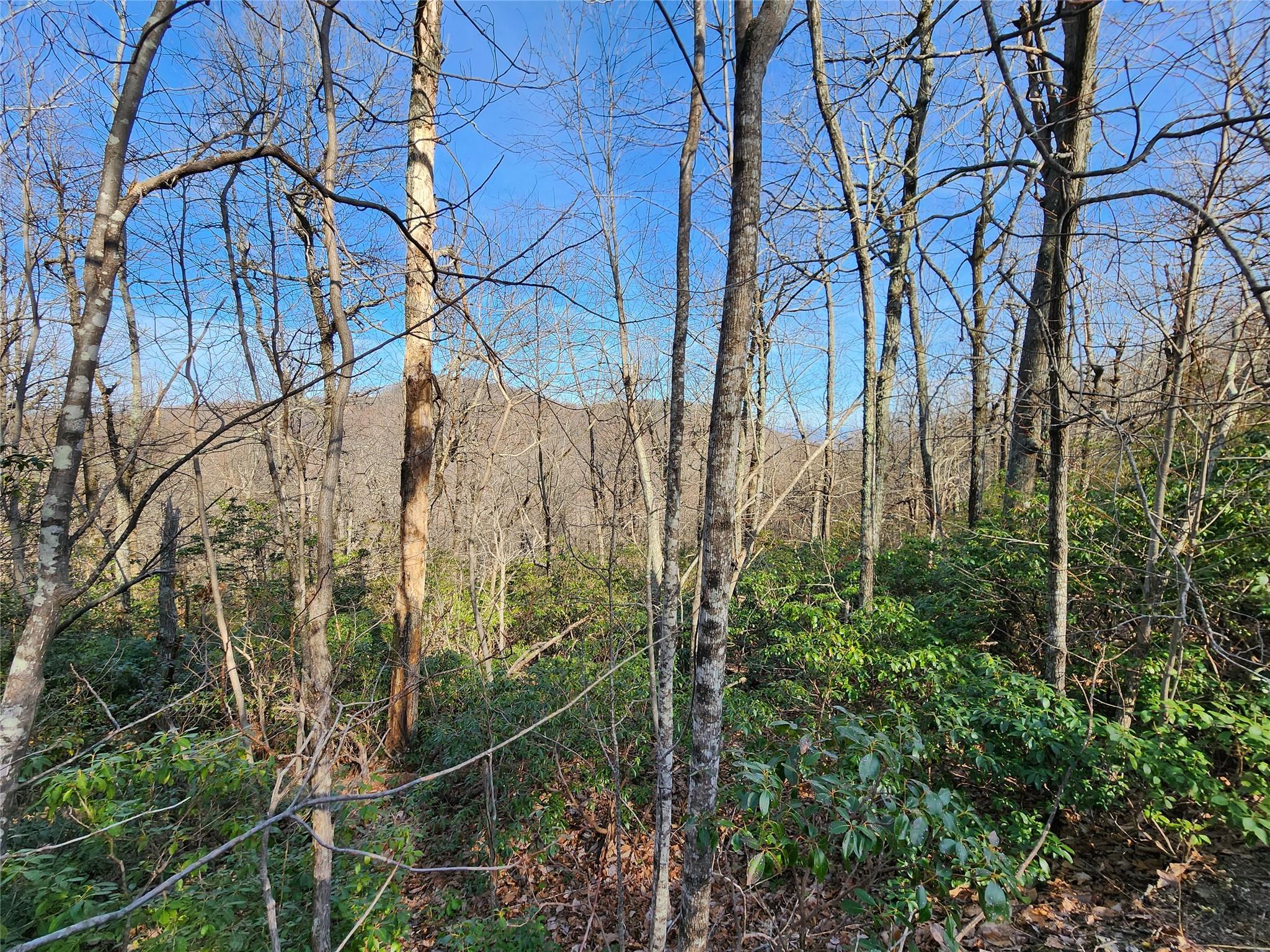 Lot 22 Sunset Ridge Drive, Columbus, NC 28722