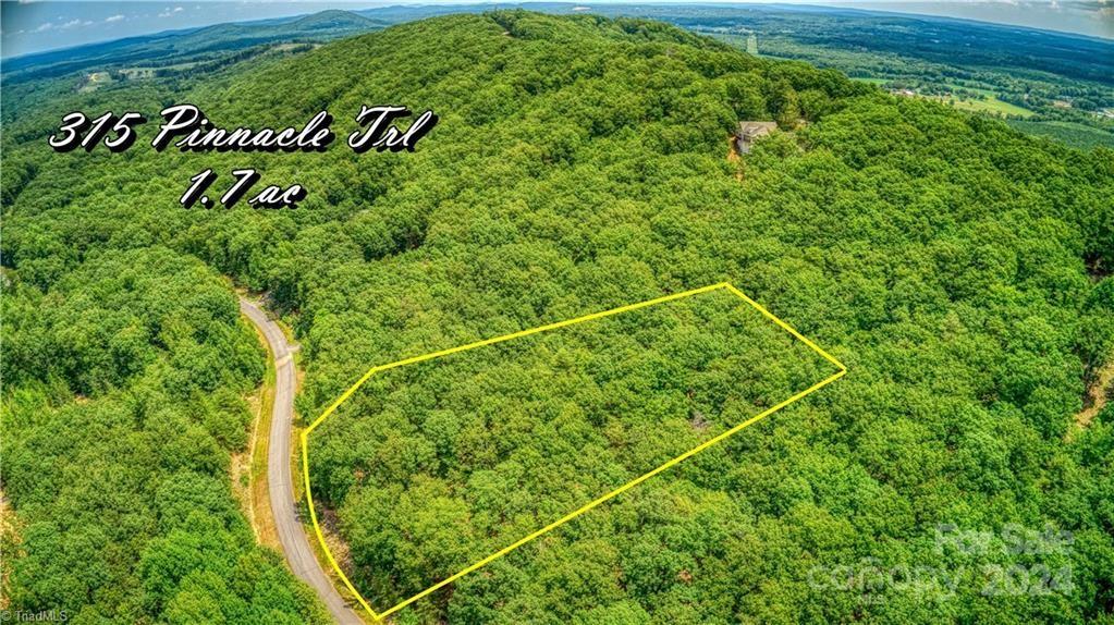 315 Pinnacle Trail, Denton, NC 27239