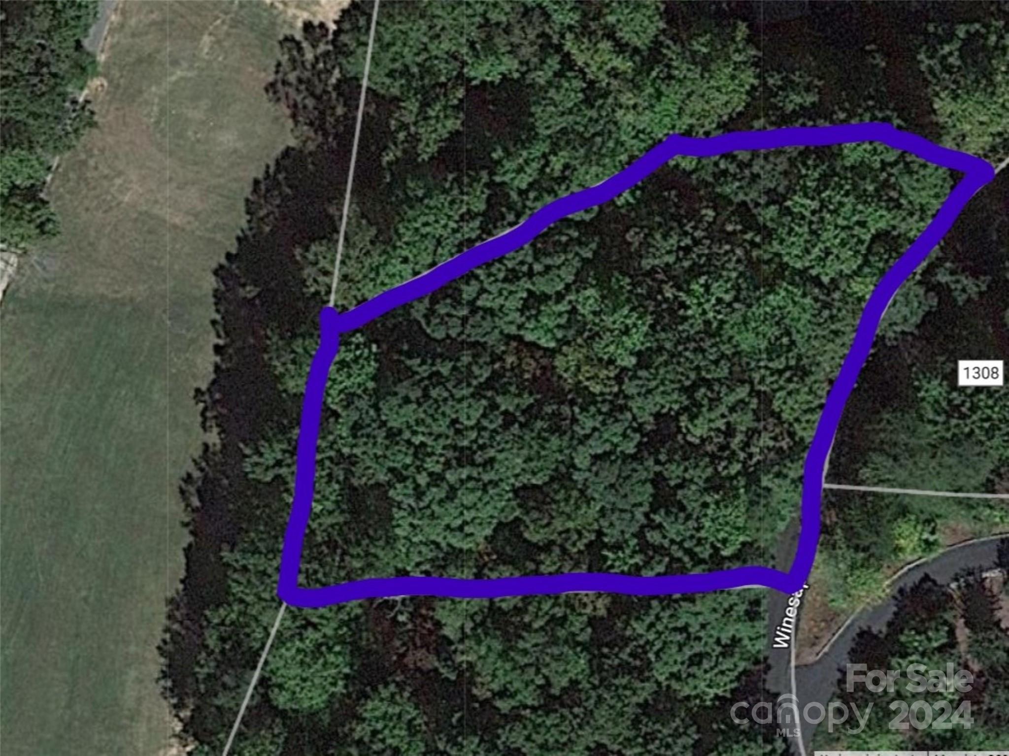 Lot 56 Winesap Boulevard, Lake Lure, NC 28746