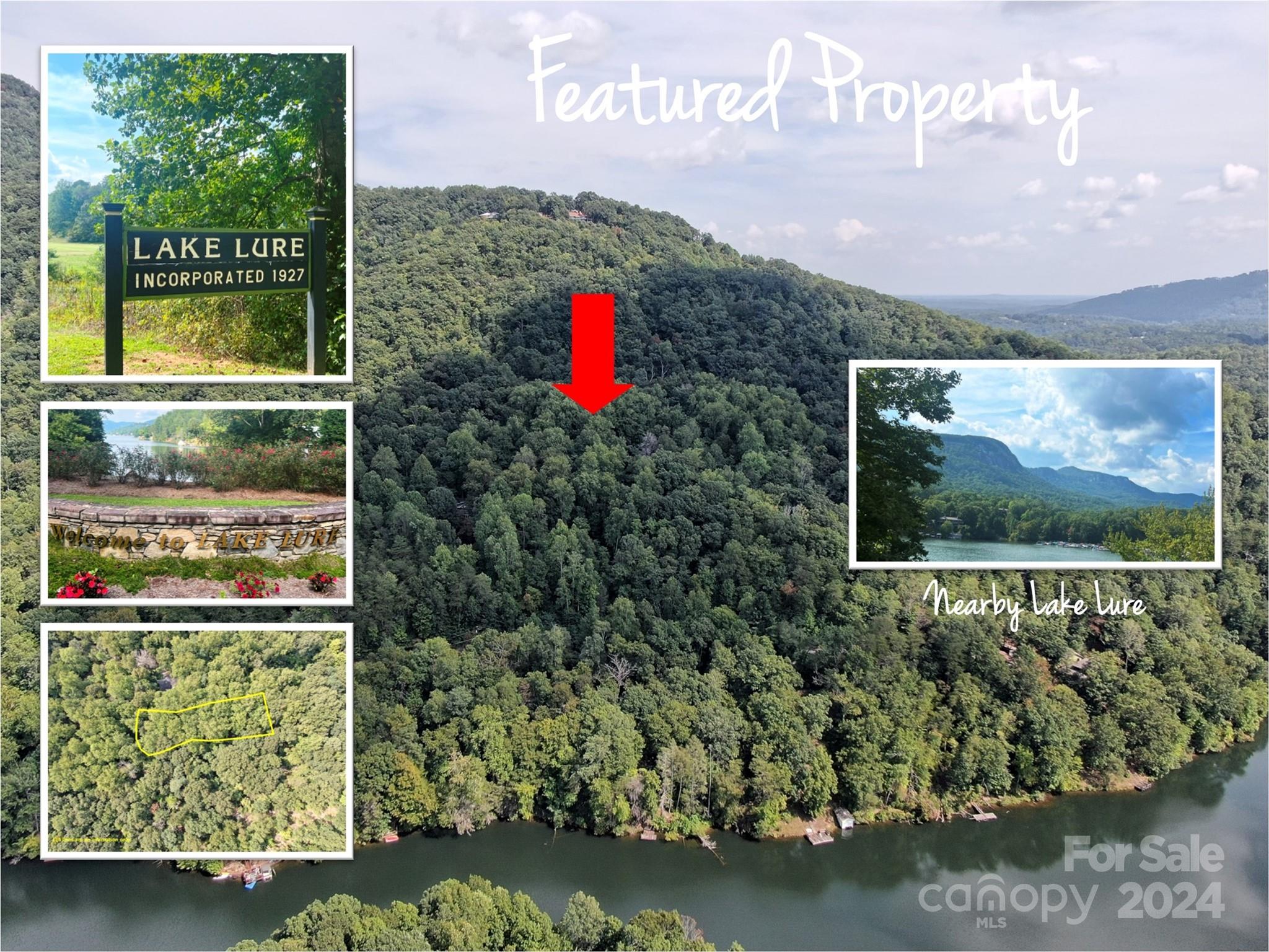 TBD Hanging Rock Road, Lake Lure, NC 28746