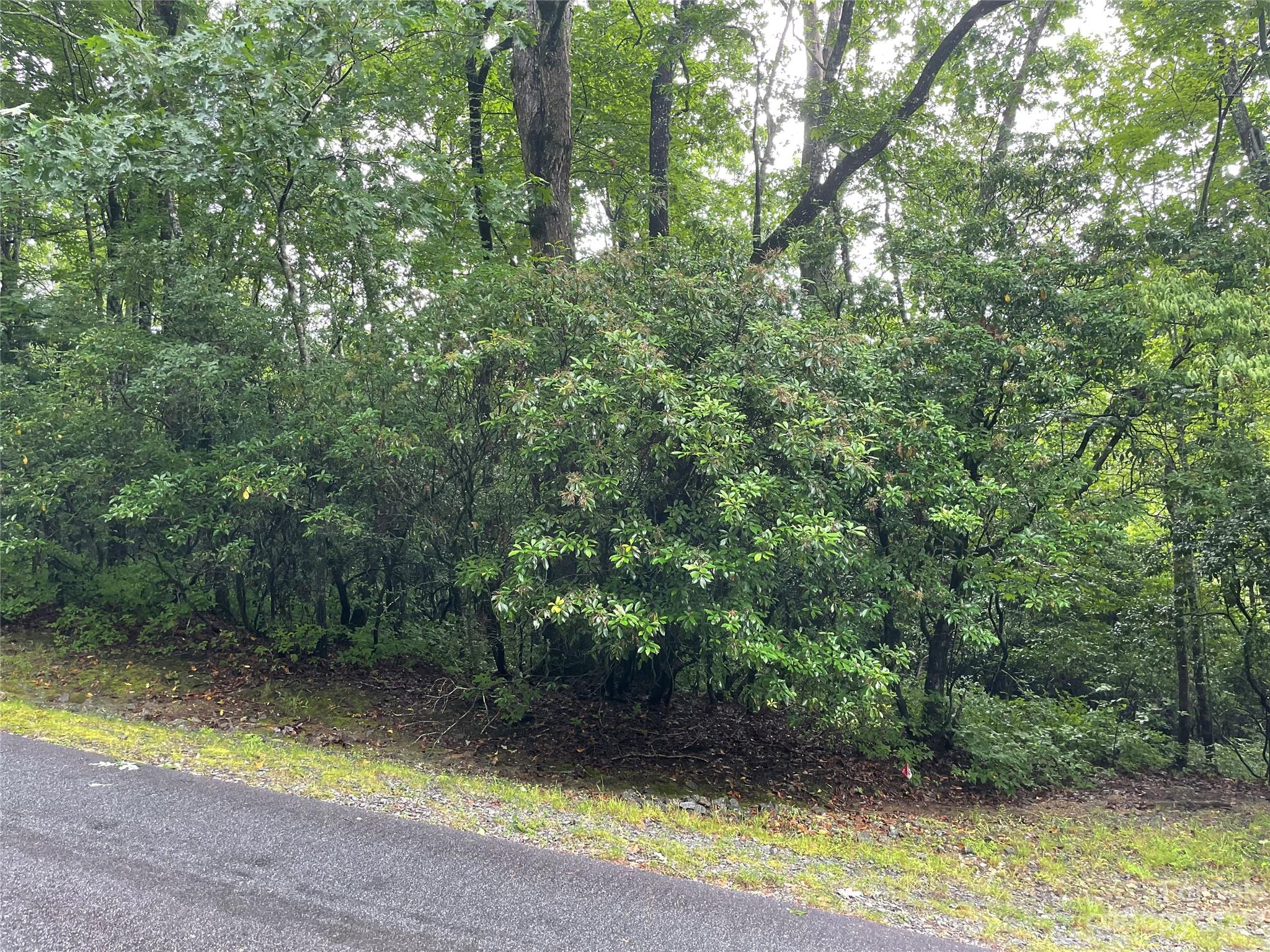 TBD Tellico Trail, Brevard, NC 28712