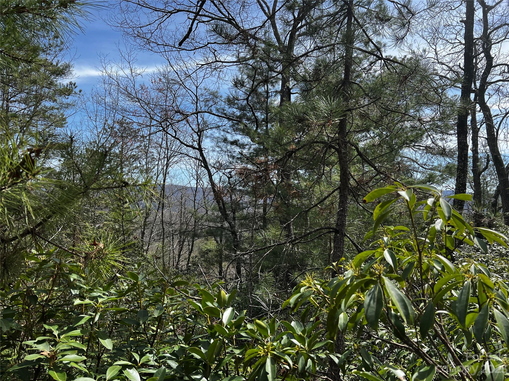 Lot M35 Pine Mountain Road, Brevard, NC 28712