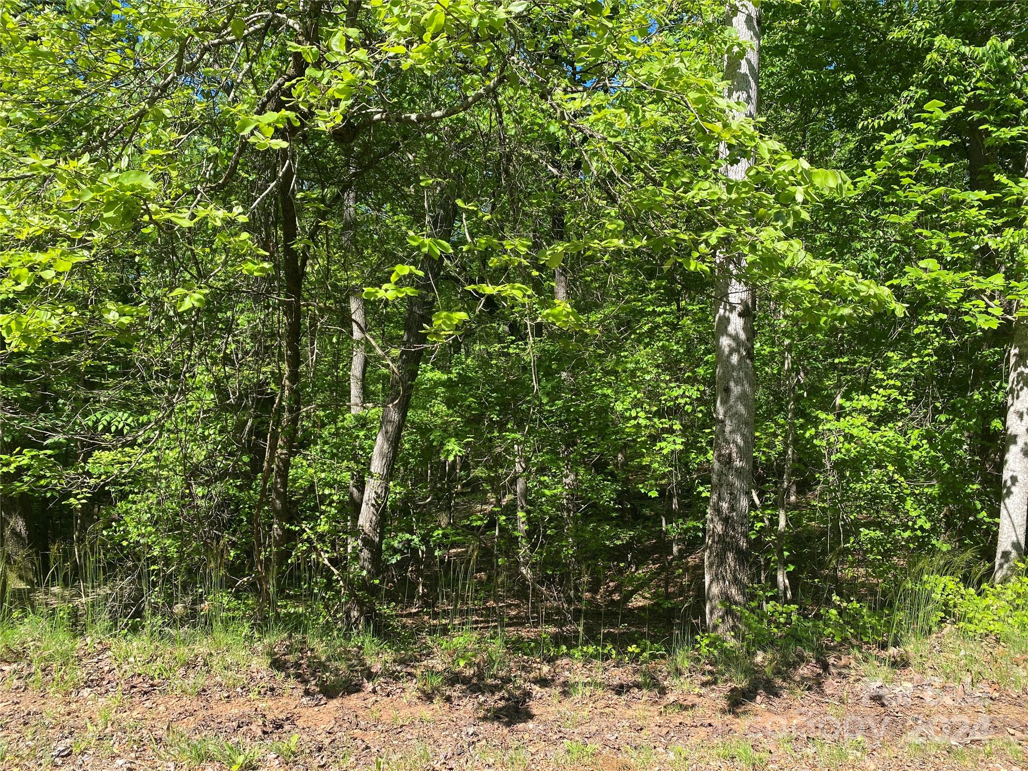 Lot 1963 Cheyenne Drive, Westminster, SC 29693