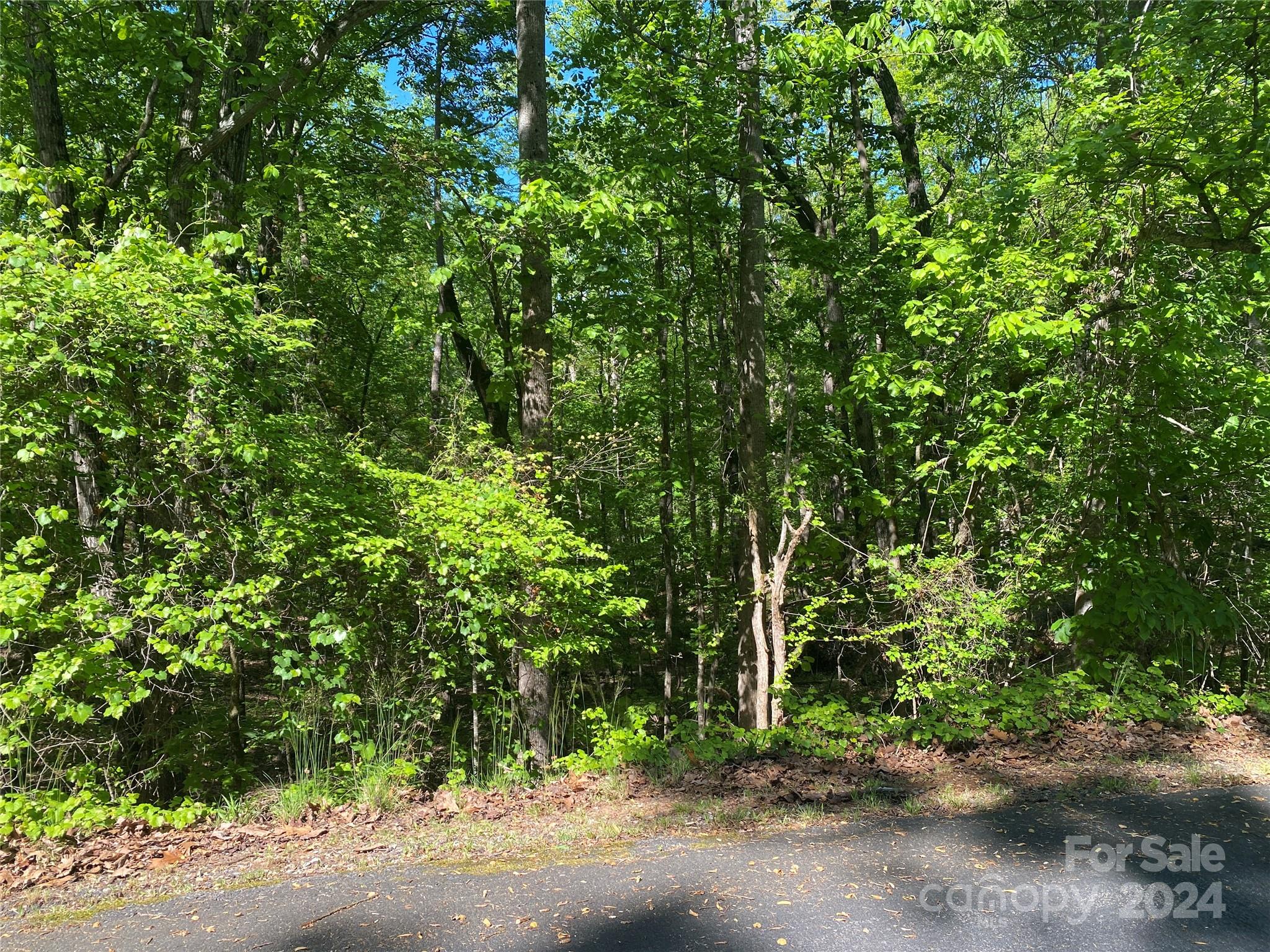 Lot 1964 Cheyenne Drive, Westminster, SC 29693