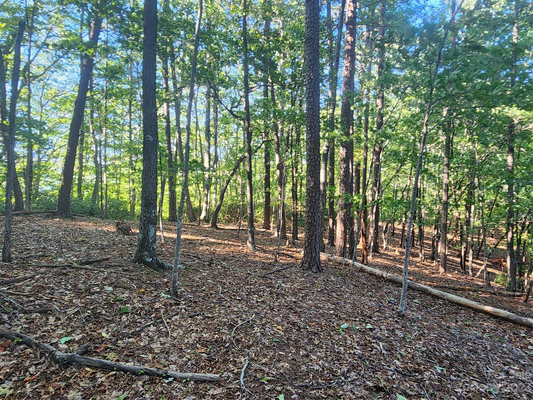 Lot 18 Wilkerson Court, Lake Lure, NC 28746