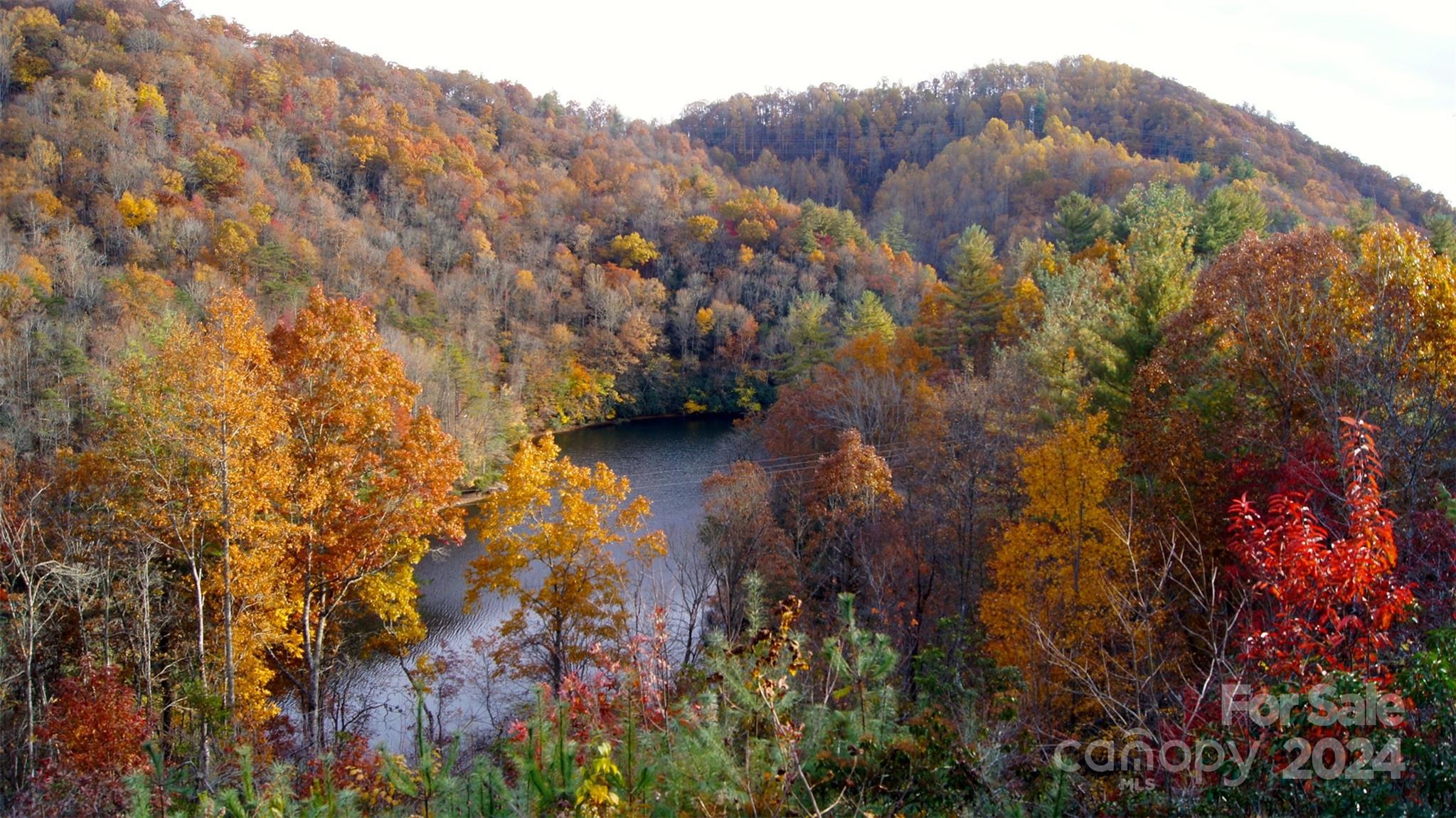 Mystic Lands Winding Stairs Road, Topton, NC 28781