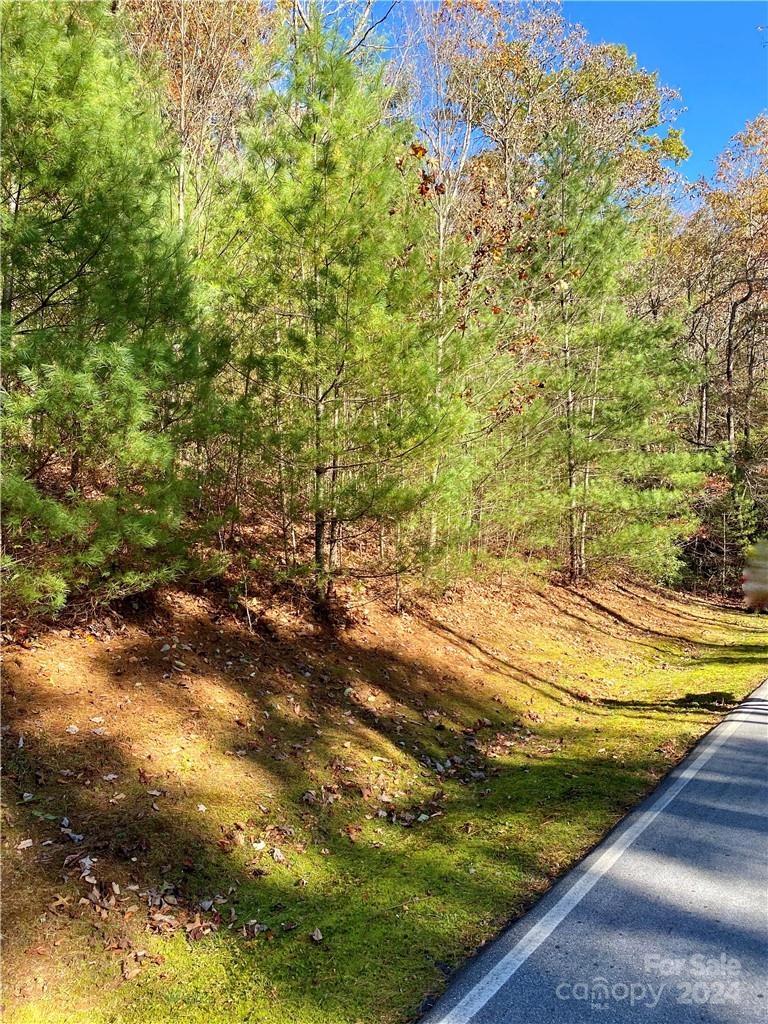 0000 Hawk Mountain Road, Lake Toxaway, NC 28747