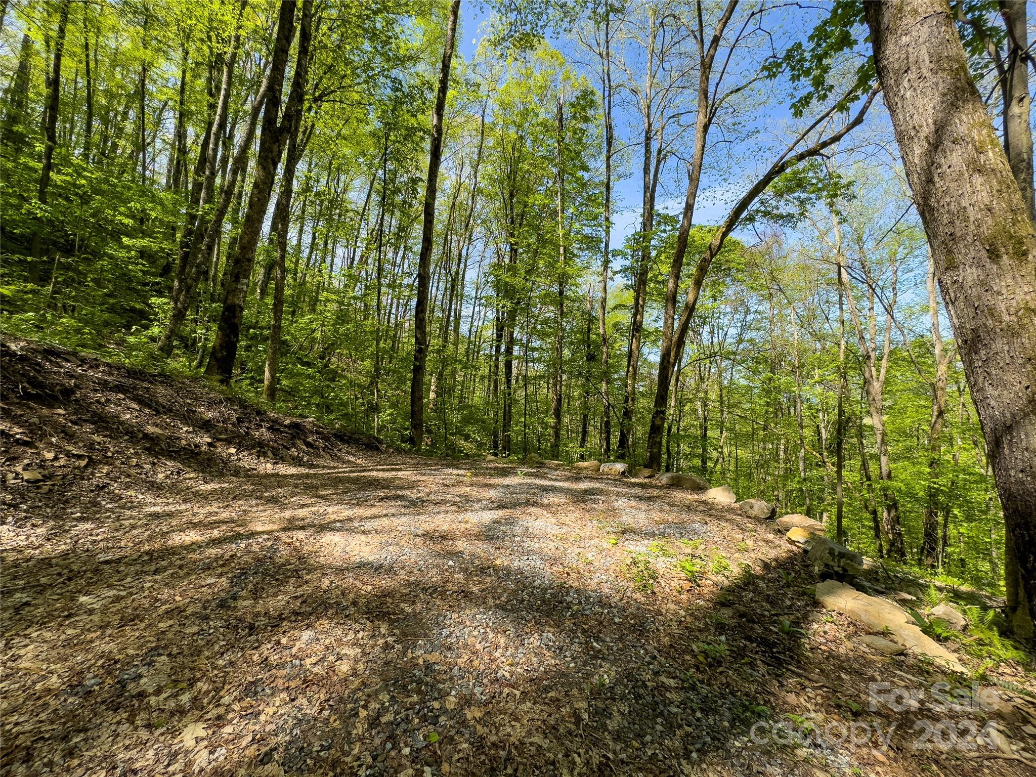 Lot 74 Black Rock Road, Qualla, NC 28719