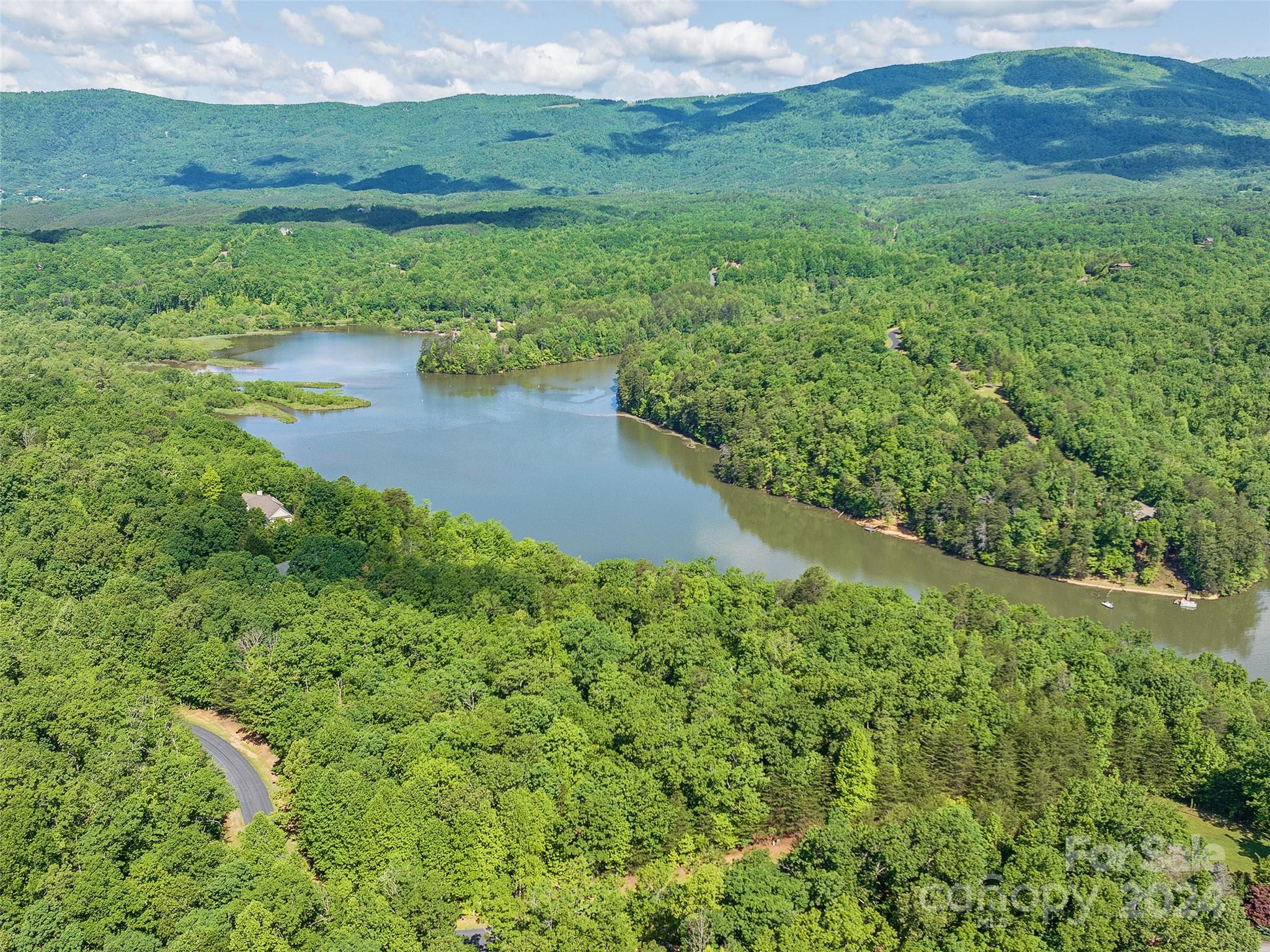 Lot 62 Lake Adger Parkway, Mill Spring, NC 28756