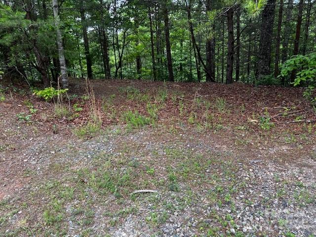 Lot 11 Lake Adger Parkway, Mill Spring, NC 28756