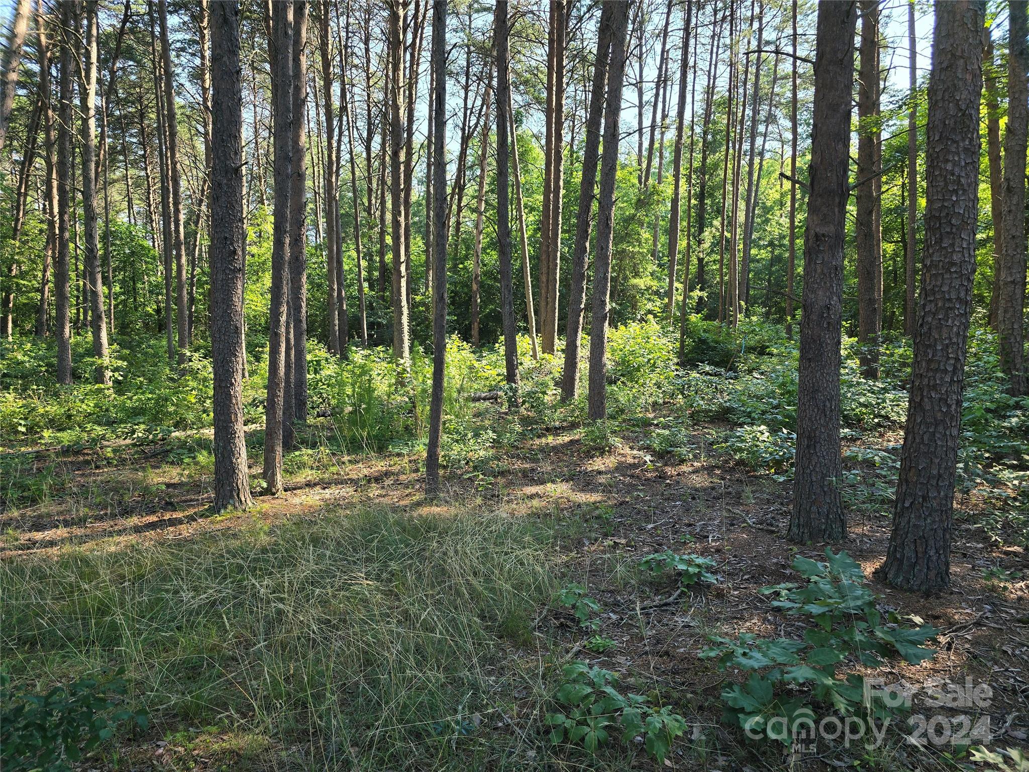 TBD Wildwood Road, Salisbury, NC 28146