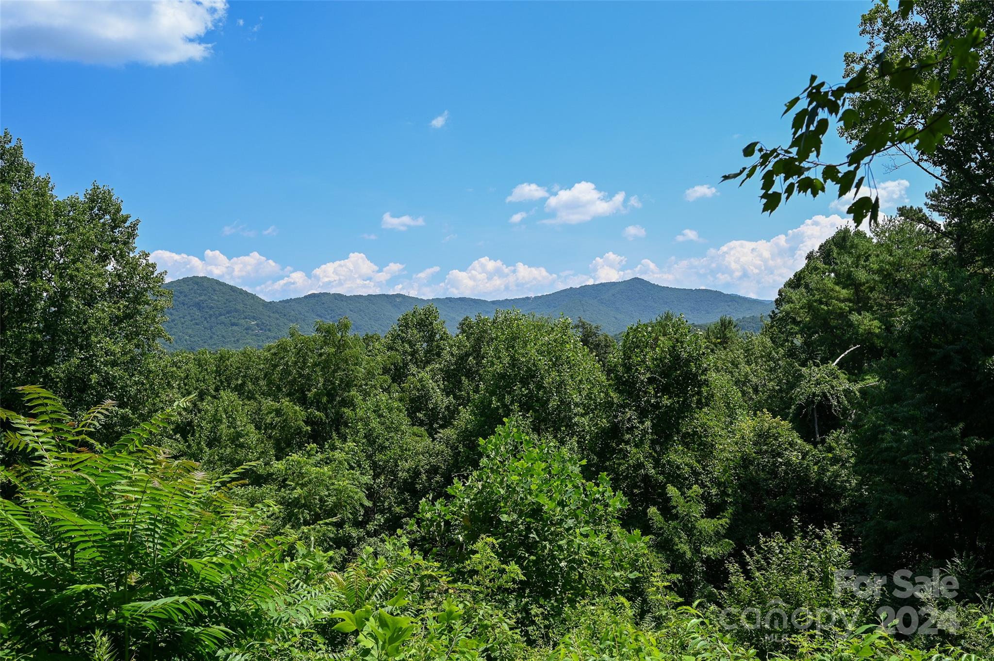 29 Grovepoint Way, Asheville, NC 28804