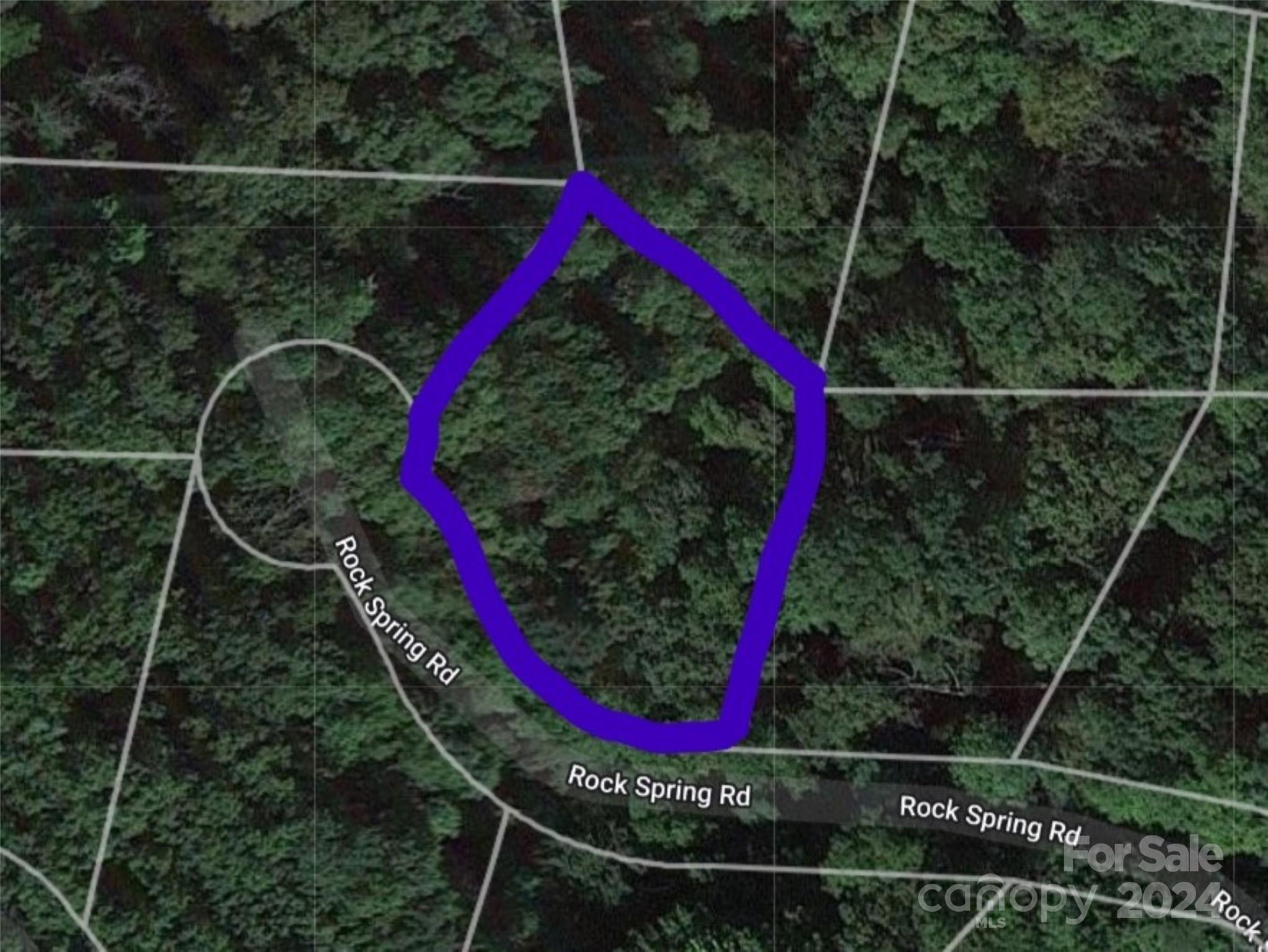 Lot 93 Rock Spring Road, Lake Lure, NC 28746