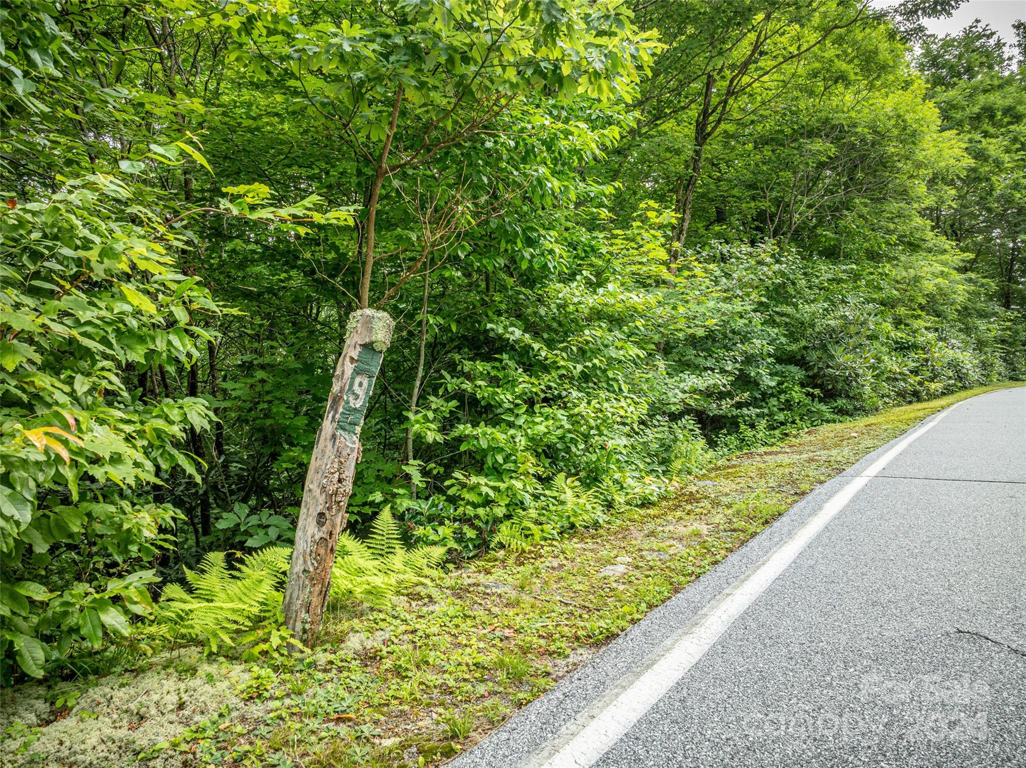 000 Meadow Ridge Drive, Lake Toxaway, NC 28747