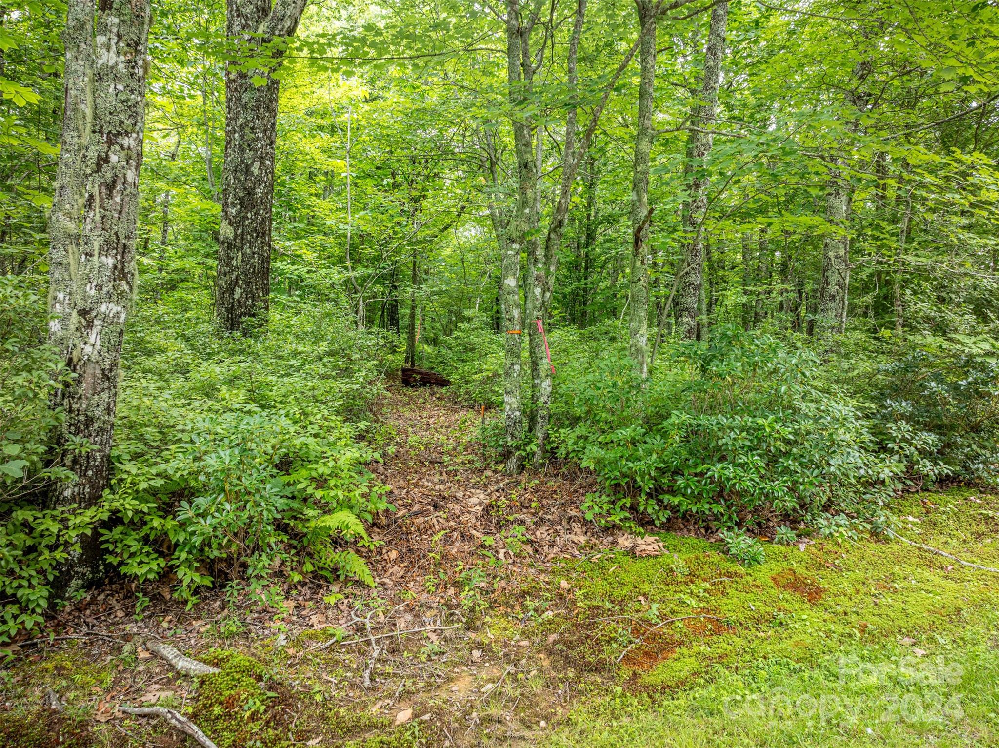 000 Panthertown Road, Lake Toxaway, NC 28747