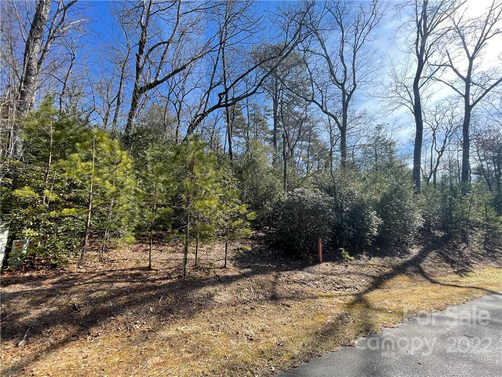 SH8 Springhouse Trail, Brevard, NC 28712