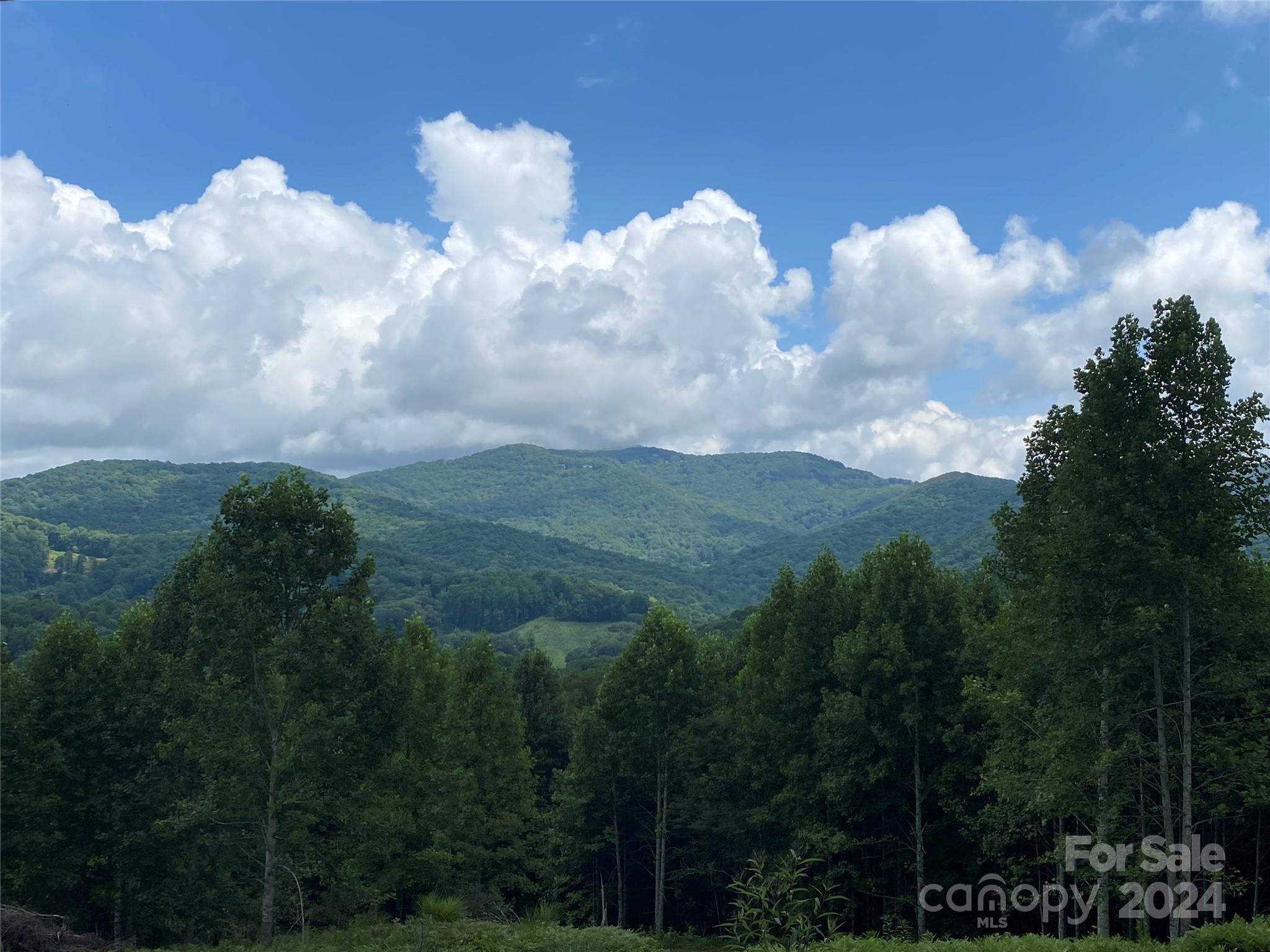 TBD Smith Creek Road, Mars Hill, NC 28754