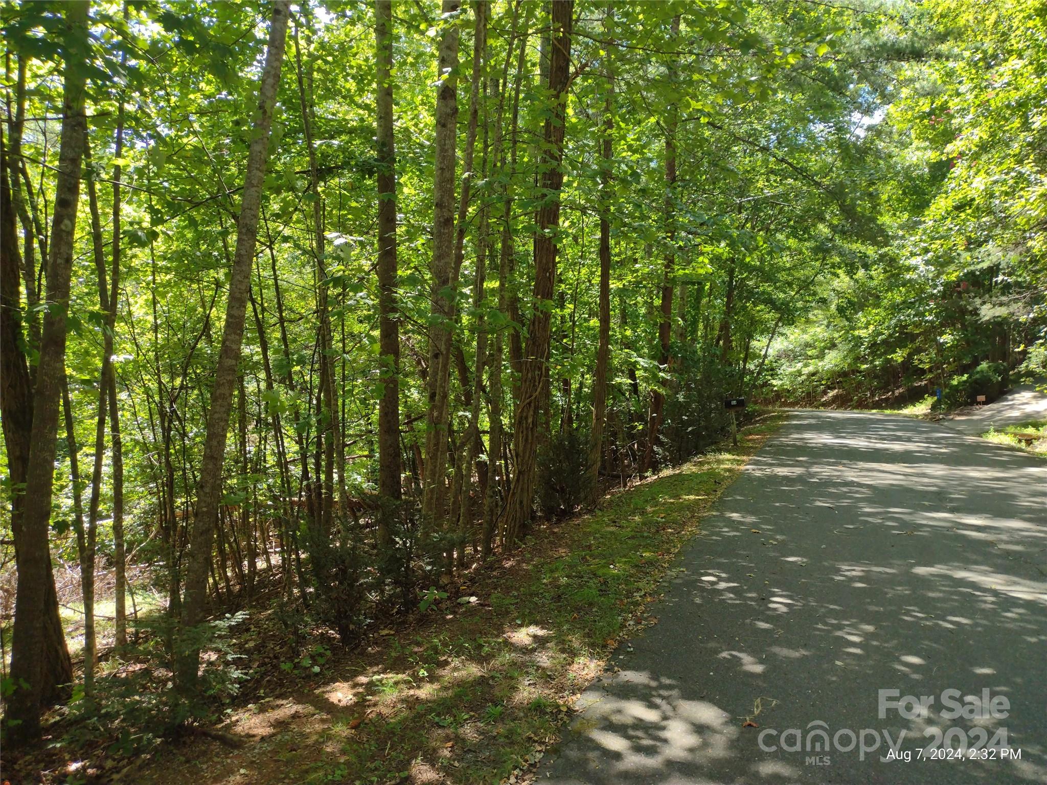 Lot 12 Wilkerson Court, Lake Lure, NC 28746