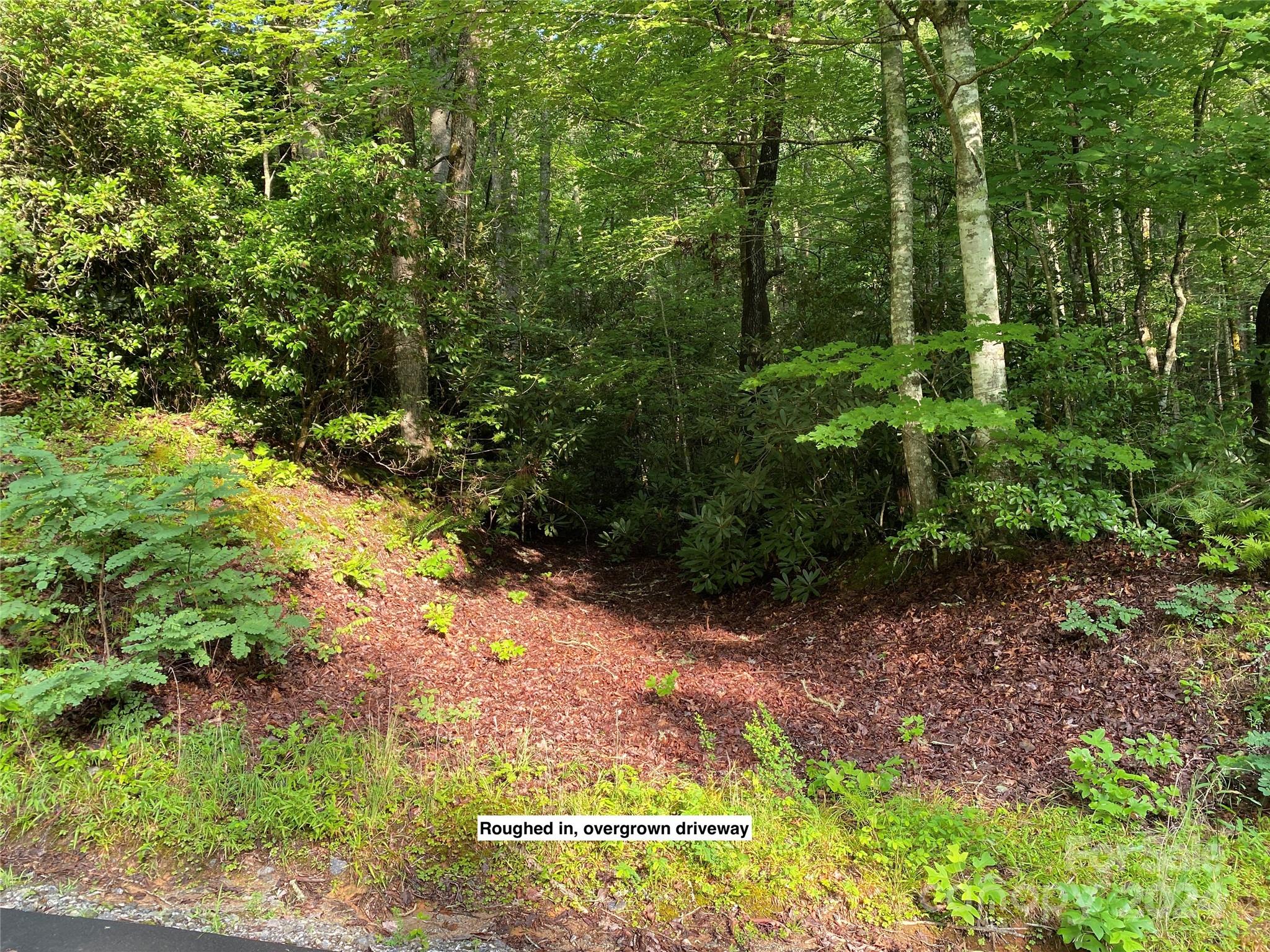 Lot C9-3 Indian Creek Drive, Lake Toxaway, NC 28747