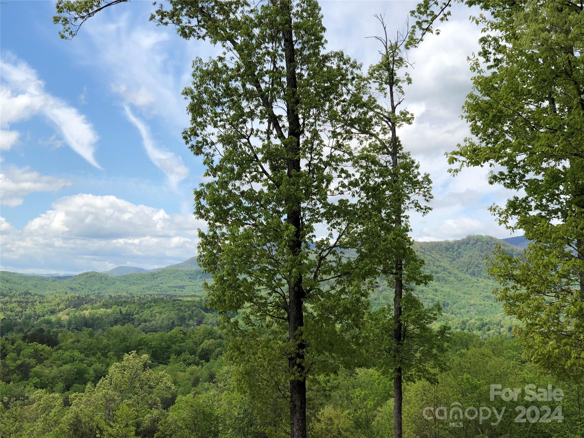 0 High Rock Ridge, Lake Lure, NC 28746