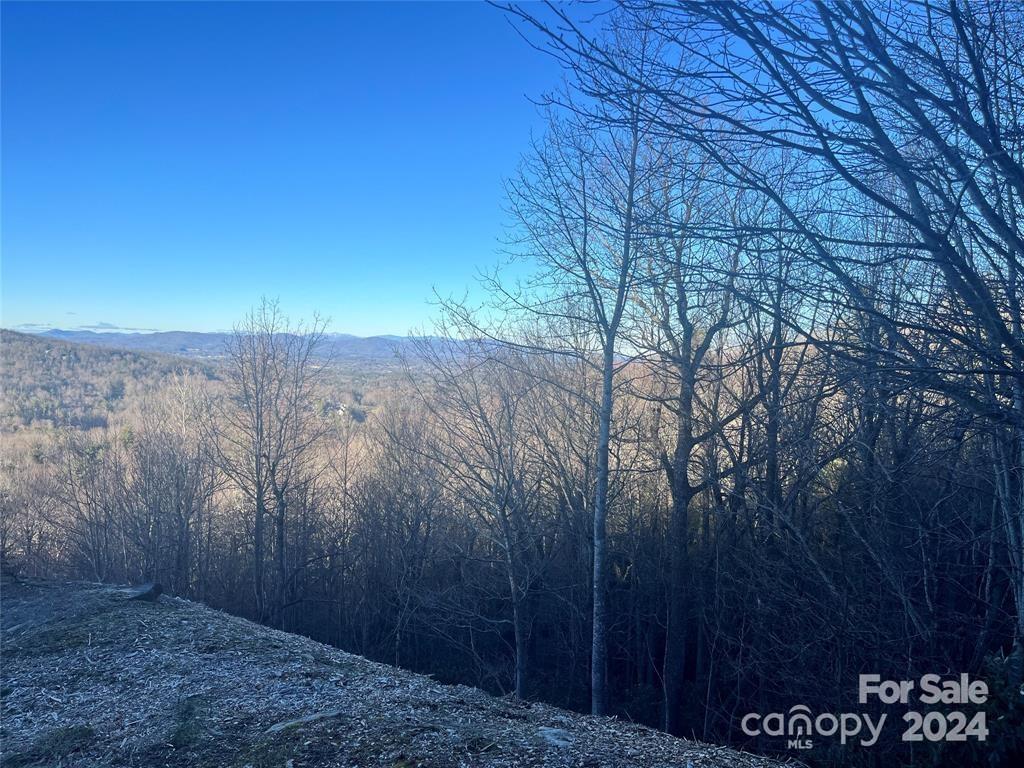 000 Roxworth Court, Flat Rock, NC 28731