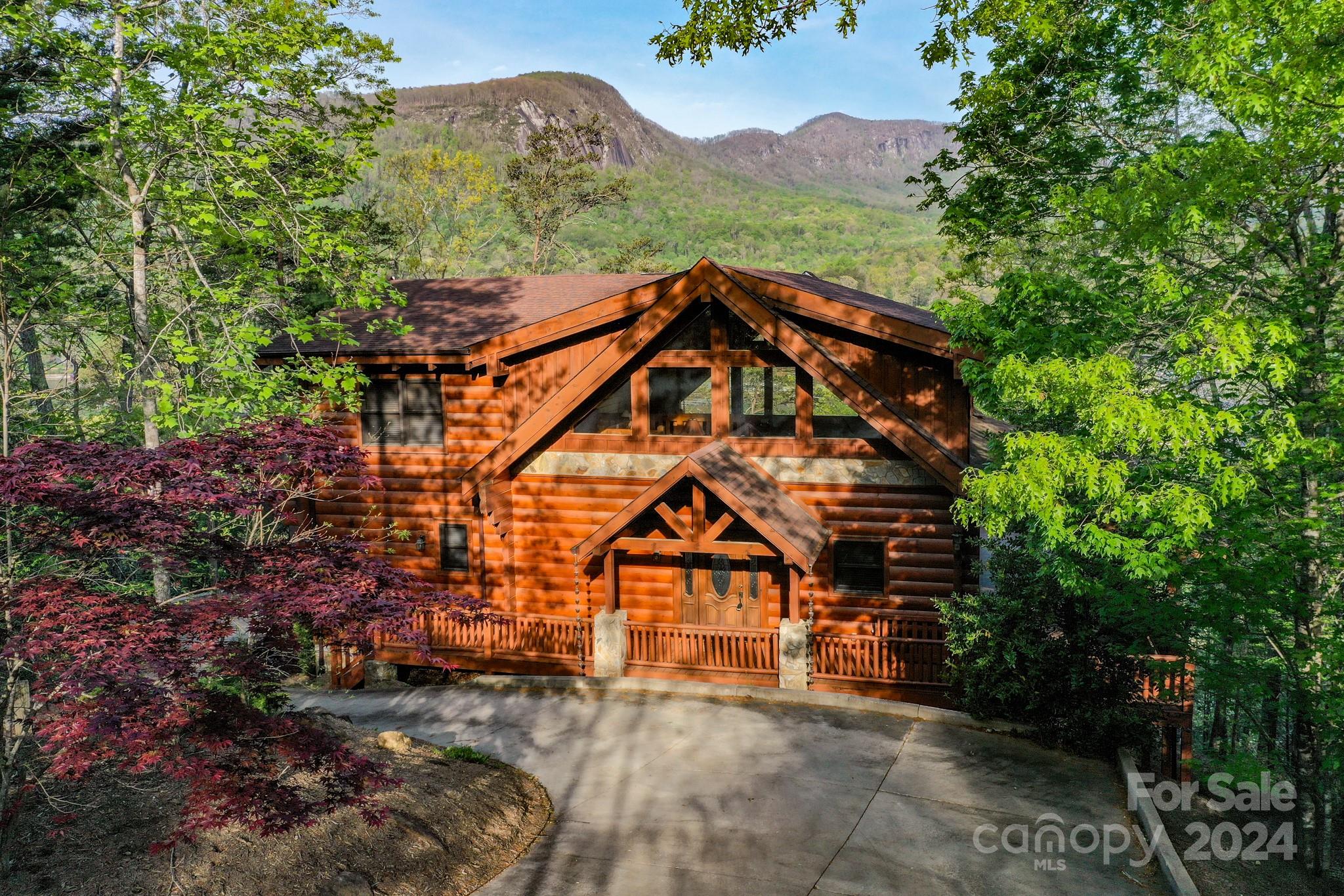 317 Waterside Drive, Lake Lure, NC 28746