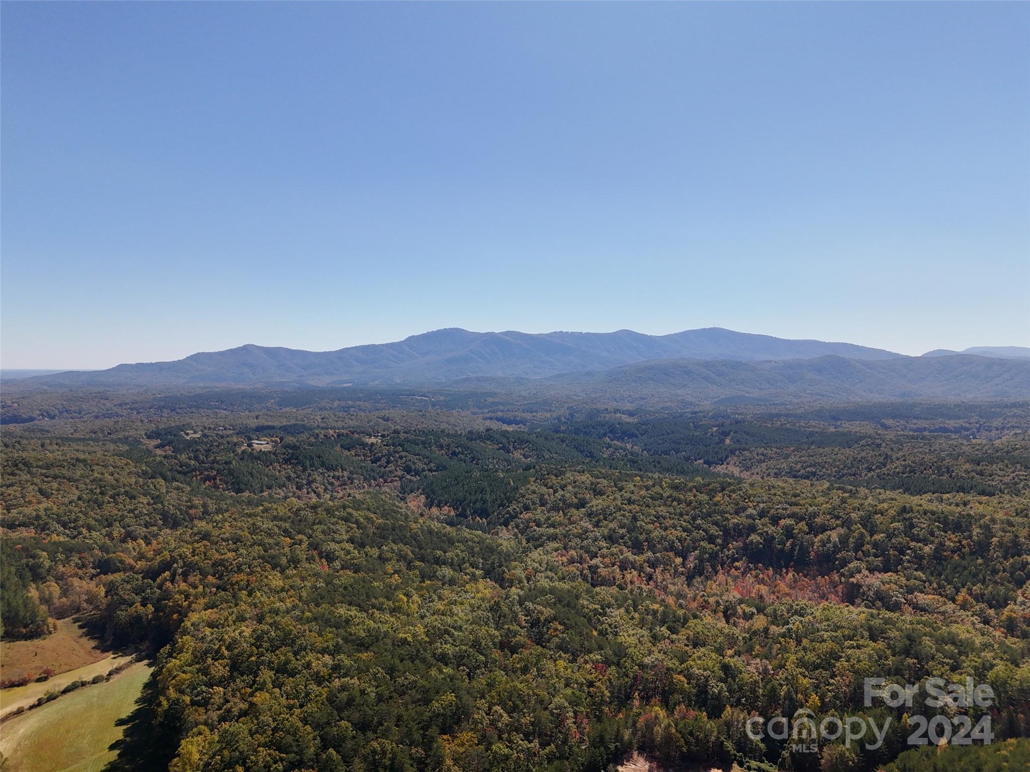 46.6 Acres Regan Jackson Road, Mill Spring, NC 28756