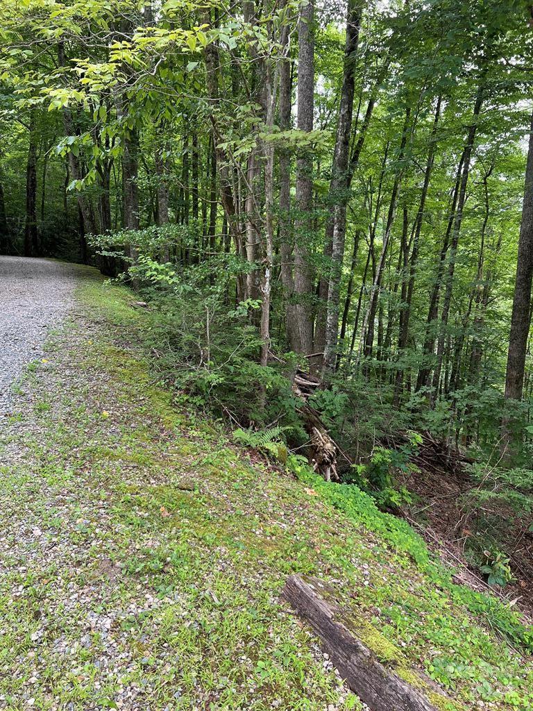 LOT 3 SEC 3 Rhododendron Drive, , NC 28781