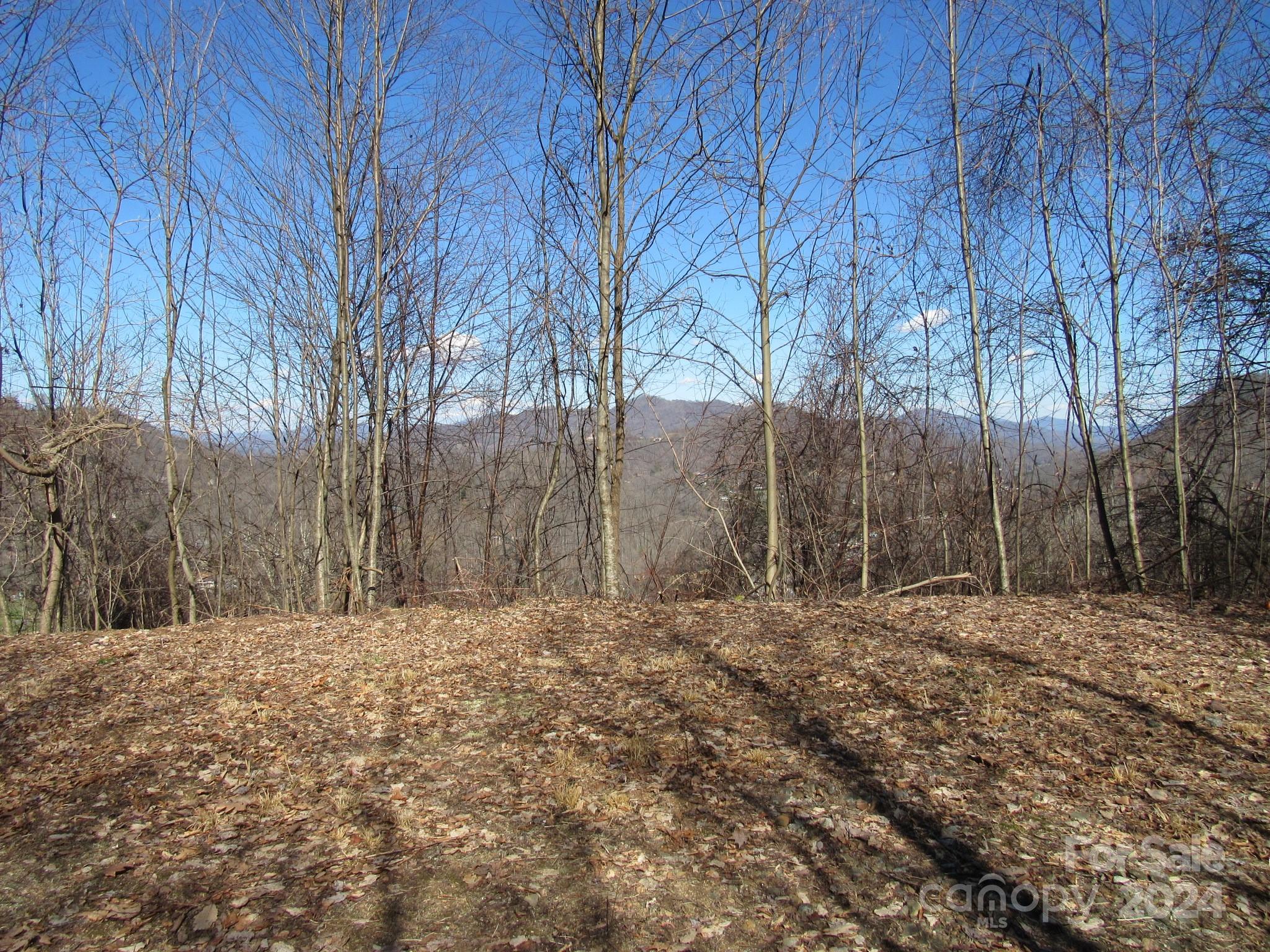 Lot #25 Appalachian Trail, Maggie Valley, NC 28751