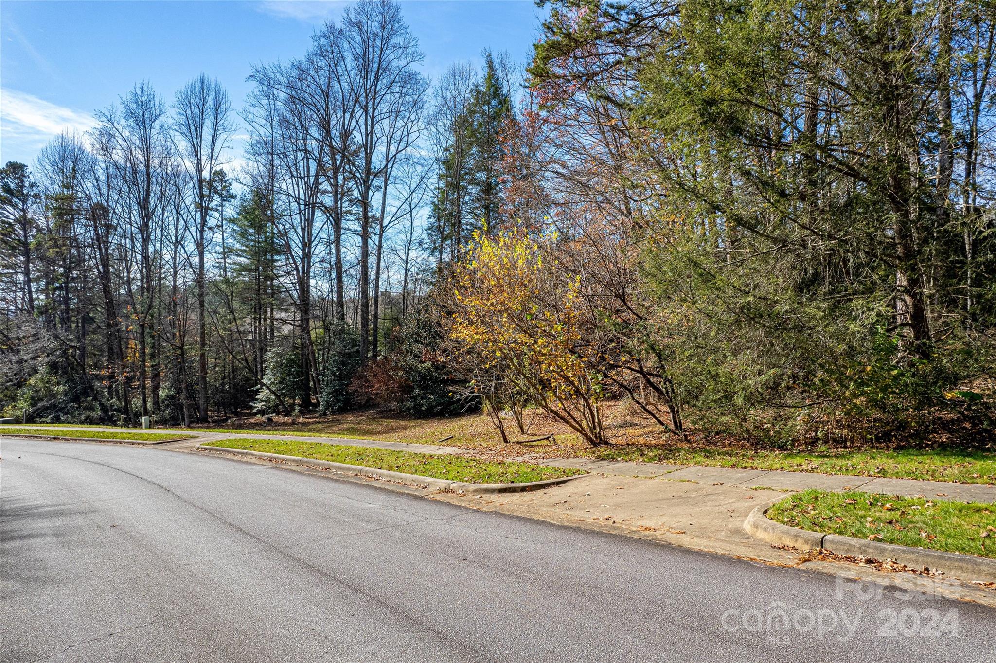 TBD Stonehouse Road, Brevard, NC 28712