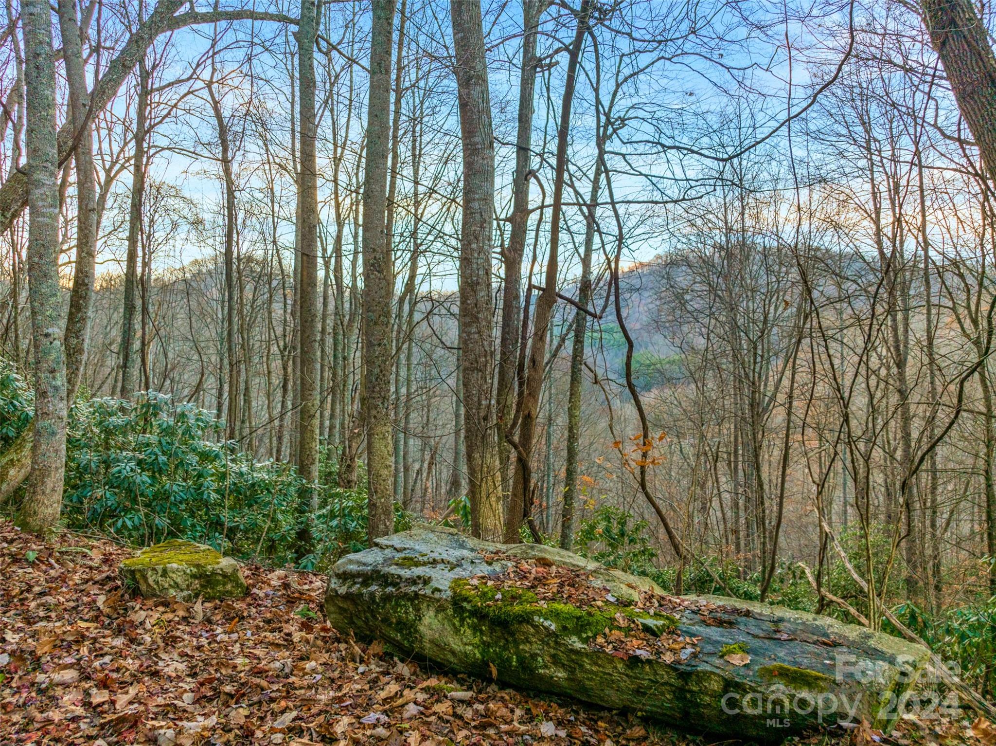 370 Cabin Creek Trail, Mars Hill, NC 28754